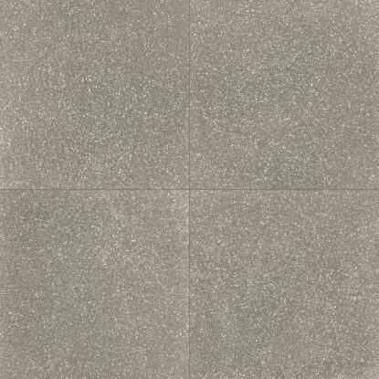ragno abitare r62s.jpg