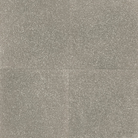 ragno abitare r62s.jpg