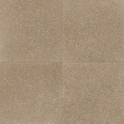 ragno abitare r62t.jpg