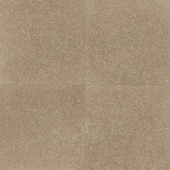 ragno abitare r62t.jpg