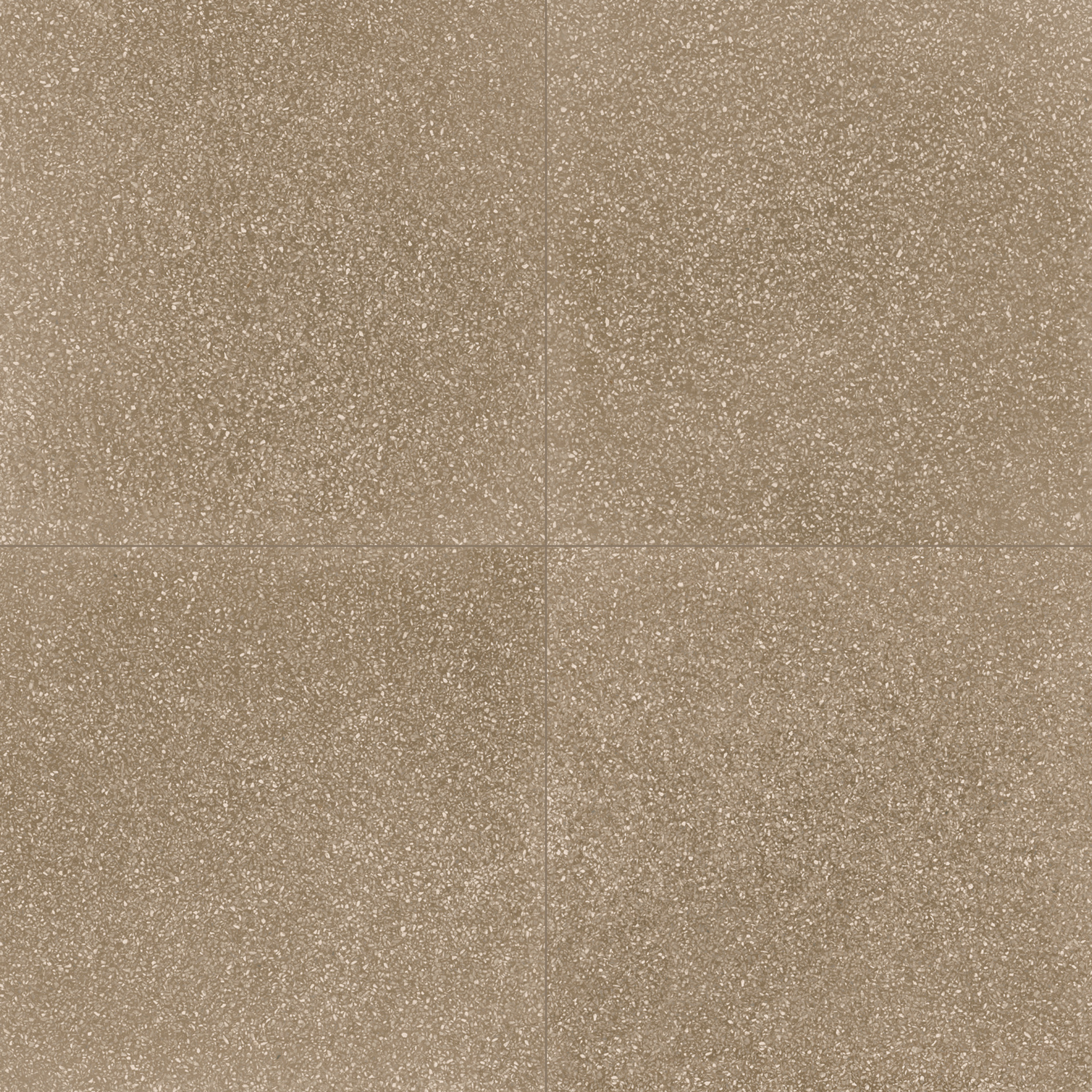 ragno abitare r62t.jpg
