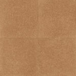 ragno abitare r62u.jpg