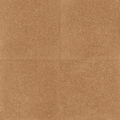 ragno abitare r62u.jpg