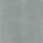 ragno abitare r62v.jpg