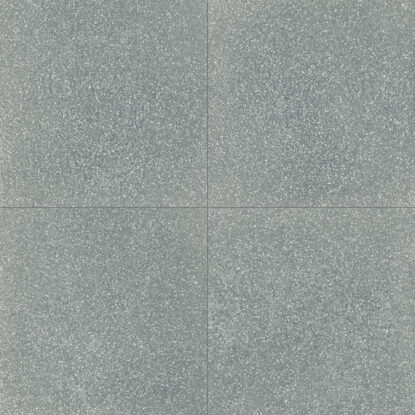 ragno abitare r62v.jpg