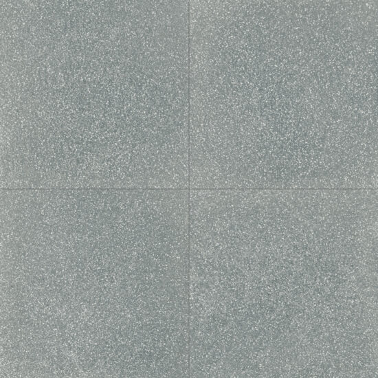 ragno abitare r62v.jpg