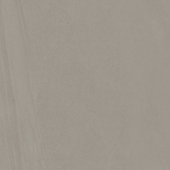 ragno usa al4818361pf.jpg