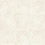 ragno amuri rc7f.jpg