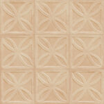 ragno amuri rc7g.jpg