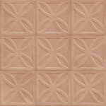 ragno amuri rc7h.jpg