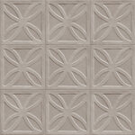 ragno amuri rc7k.jpg