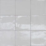 ragno amuri rc7n.jpg