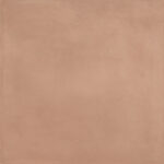 ragno amuri rc8y.jpg