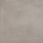 ragno amuri rc90.jpg