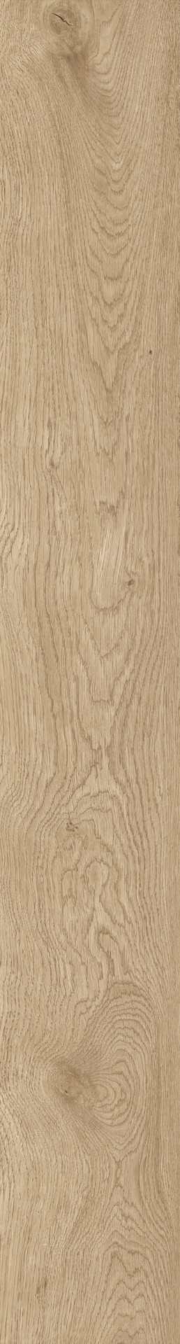 ragno boheme rcpr.jpg