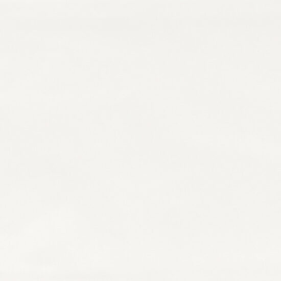 ragno brick glossy rda0.jpg