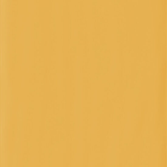 ragno candy r15r.jpg