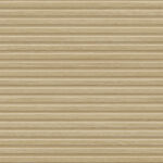 ragno classica wall rddl.jpg