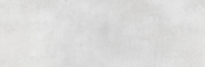 ragno clayton rae7.jpg