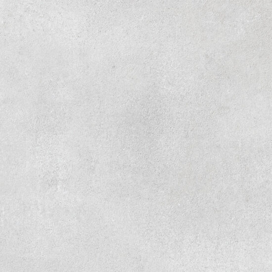 ragno clayton rae7.jpg