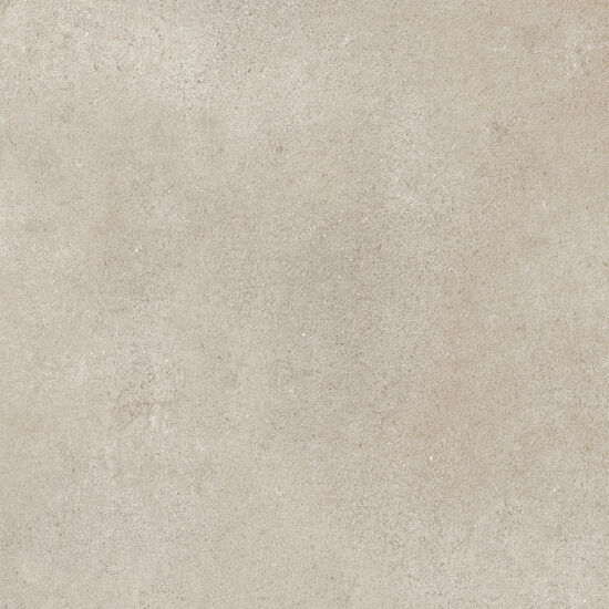 ragno clayton rae8.jpg