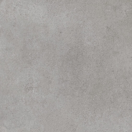 ragno clayton rae9.jpg