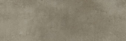 ragno clayton raea.jpg