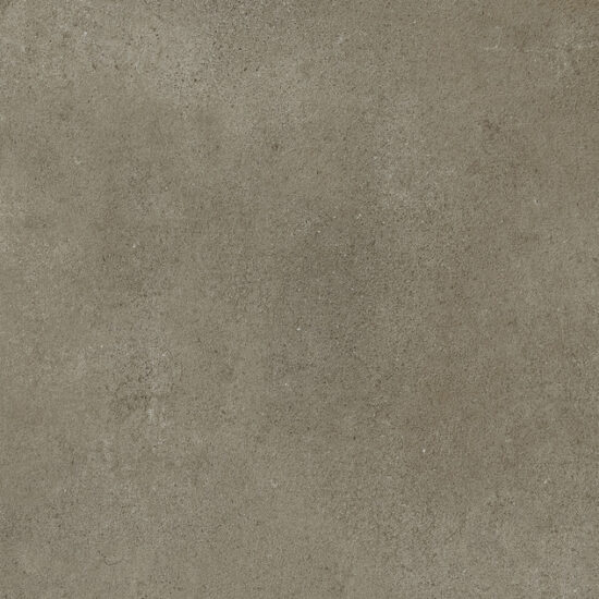 ragno clayton raea.jpg