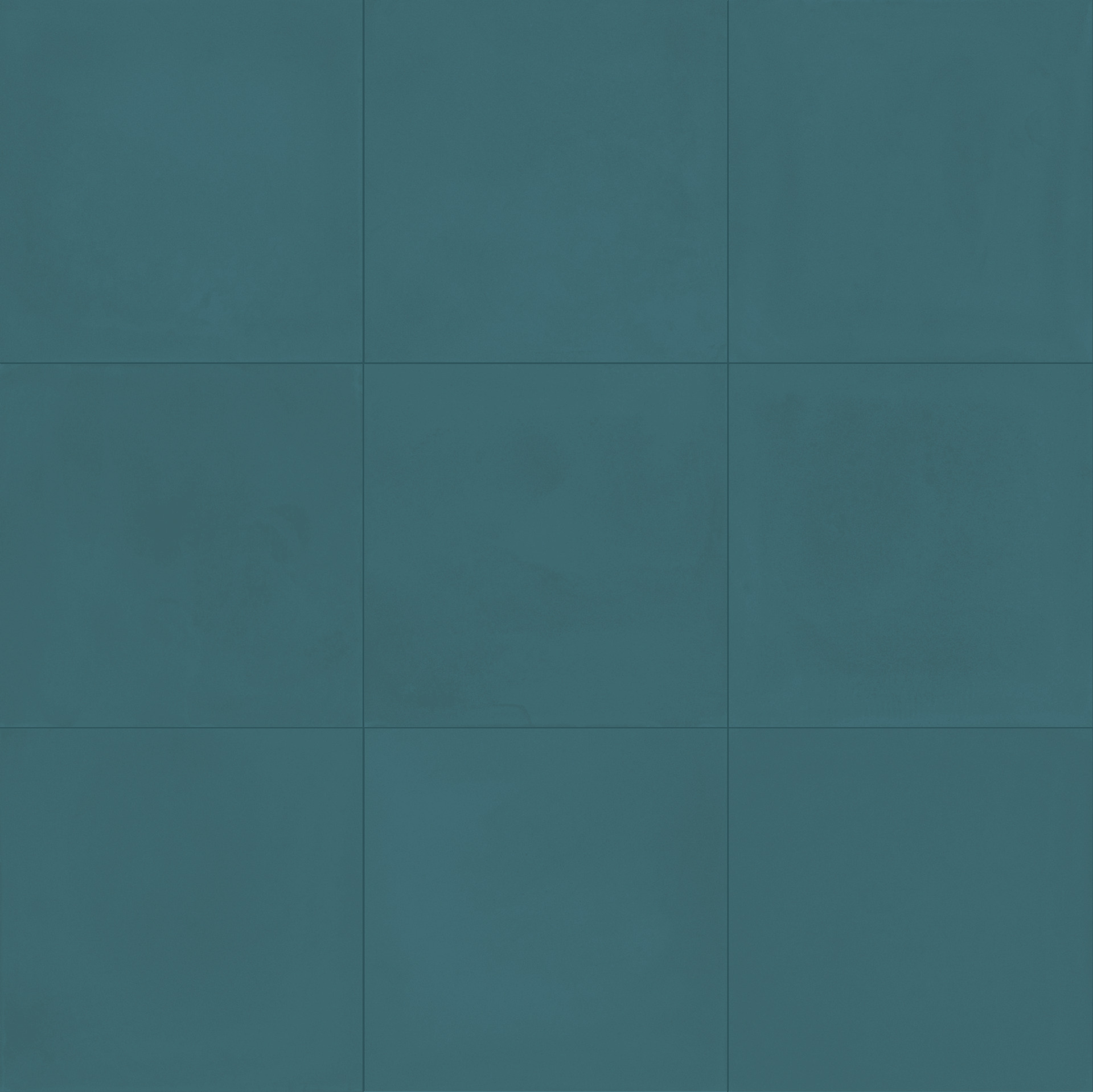 ragno contrasti r7gw.jpg