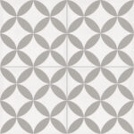 ragno contrasti r7he.jpg