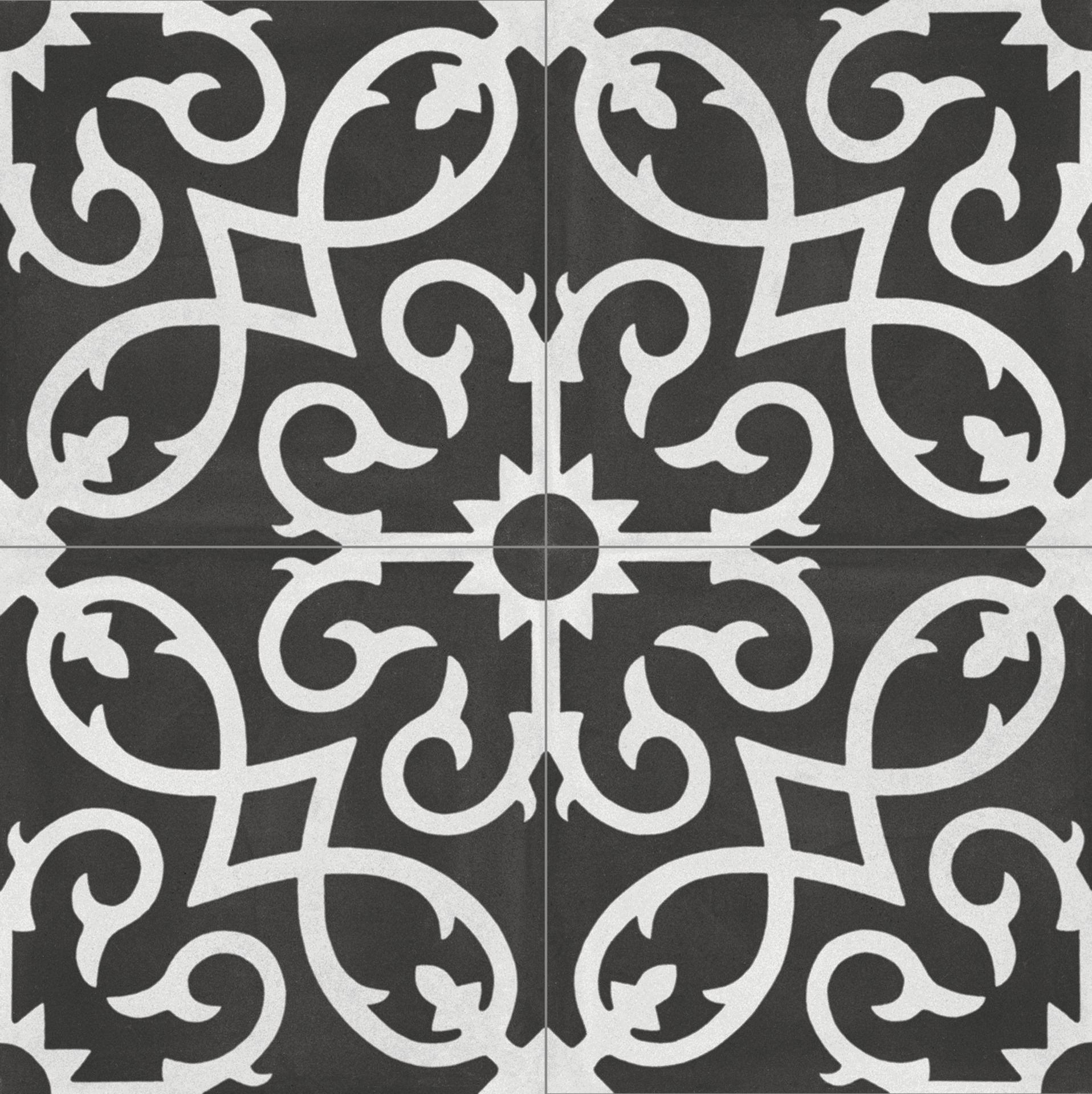 ragno contrasti r7hj.jpg