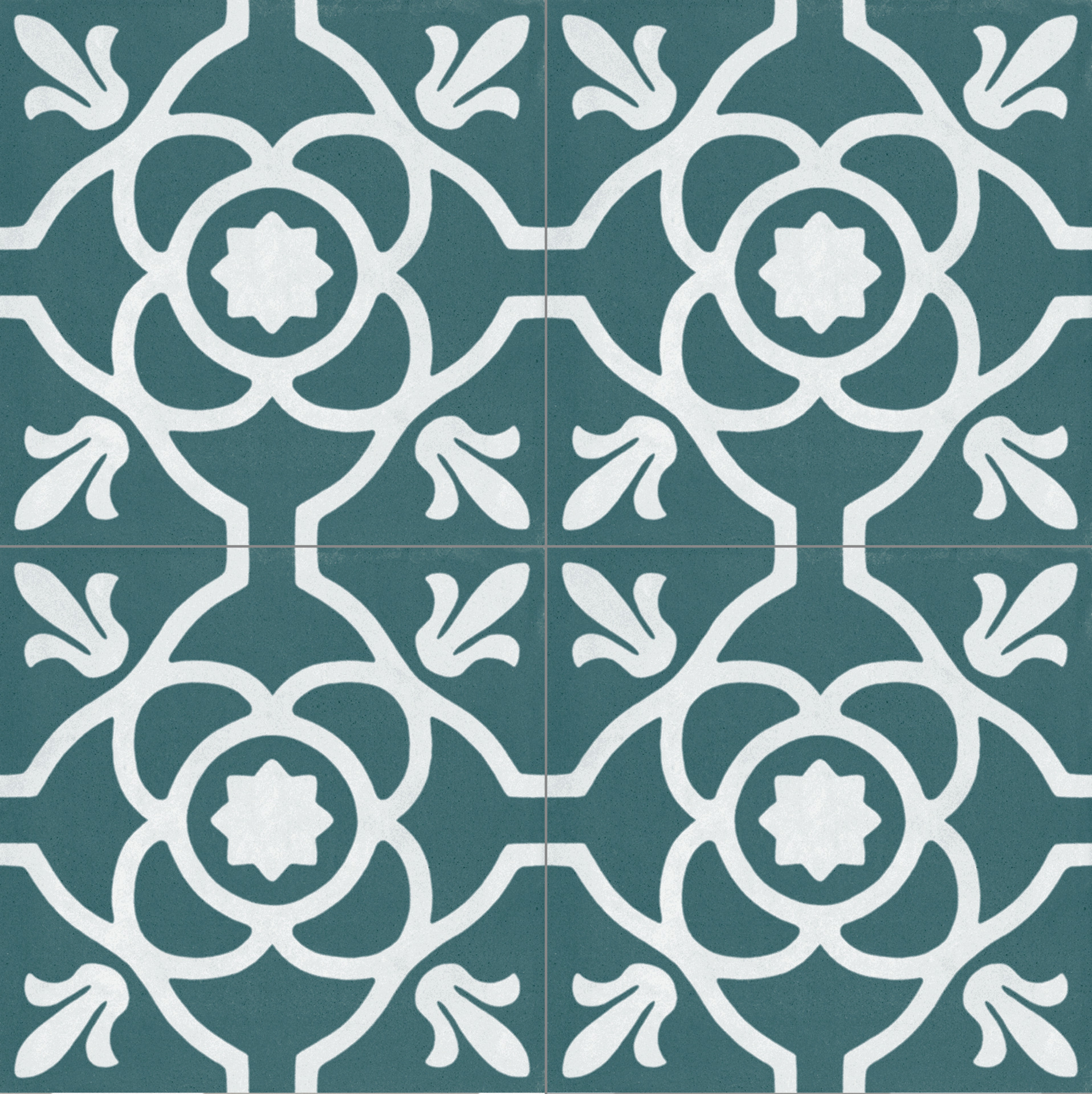 ragno contrasti r7hq.jpg