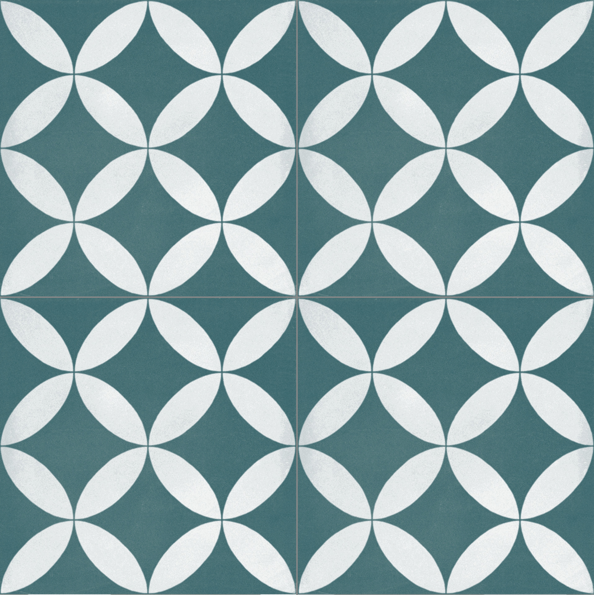 ragno contrasti r7hs.jpg