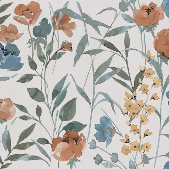 ragno decora r9qg.jpg