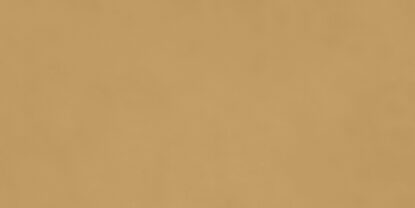 ragno decora ra5d.jpg