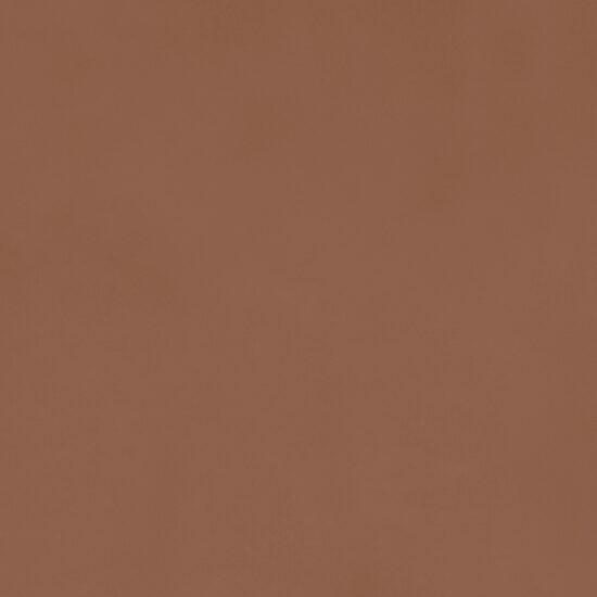 ragno decora ra5f.jpg