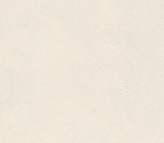 ragno decora ra5h.jpg