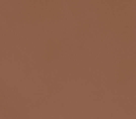 ragno decora ra5l.jpg