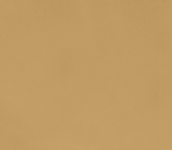 ragno decora ra5m.jpg