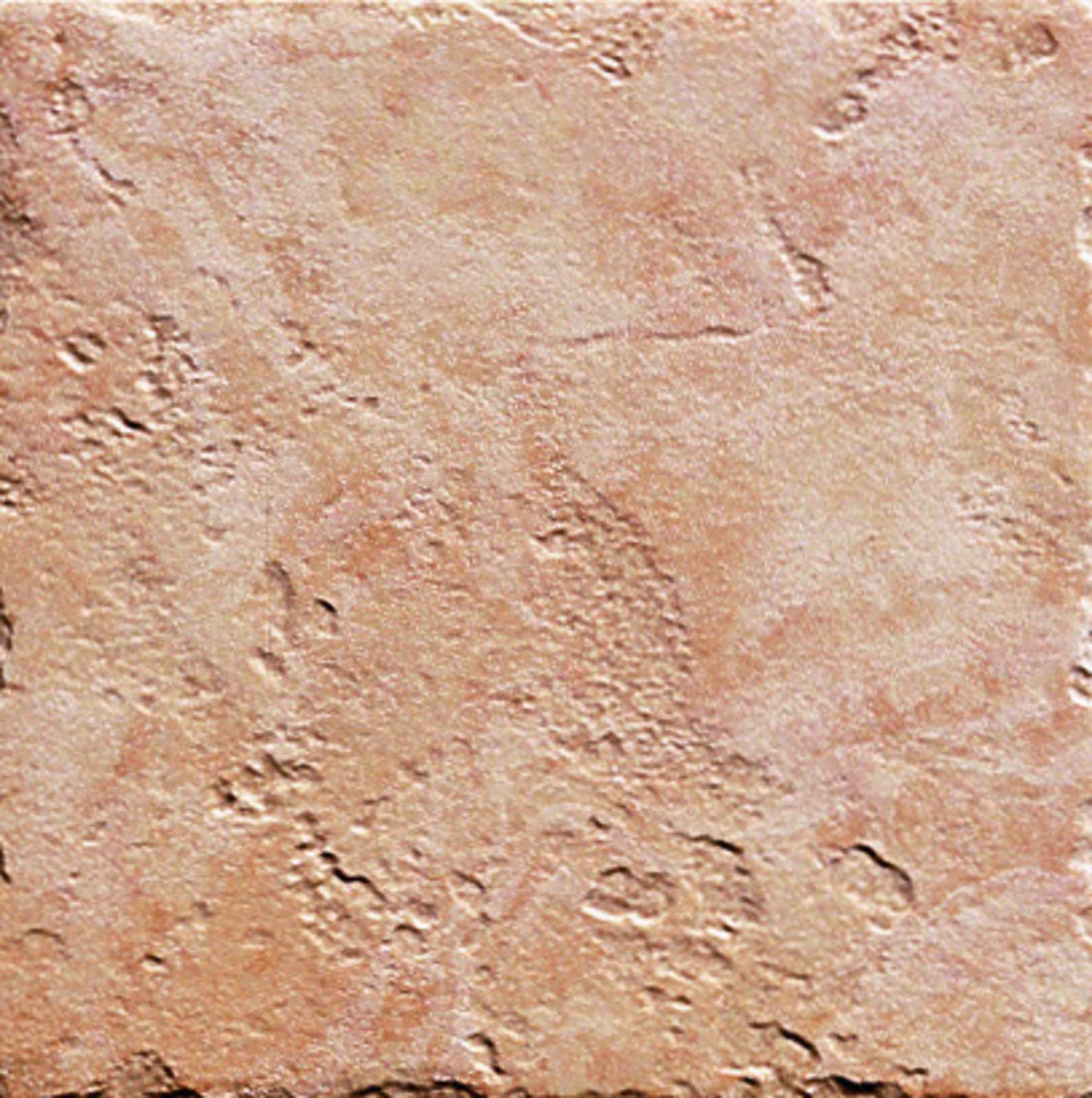 ragno emilia 0l37.jpg