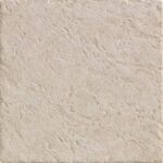 ragno emilia 4x74.jpg