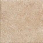 ragno emilia r5l2.jpg