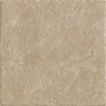 ragno emilia r5l3.jpg