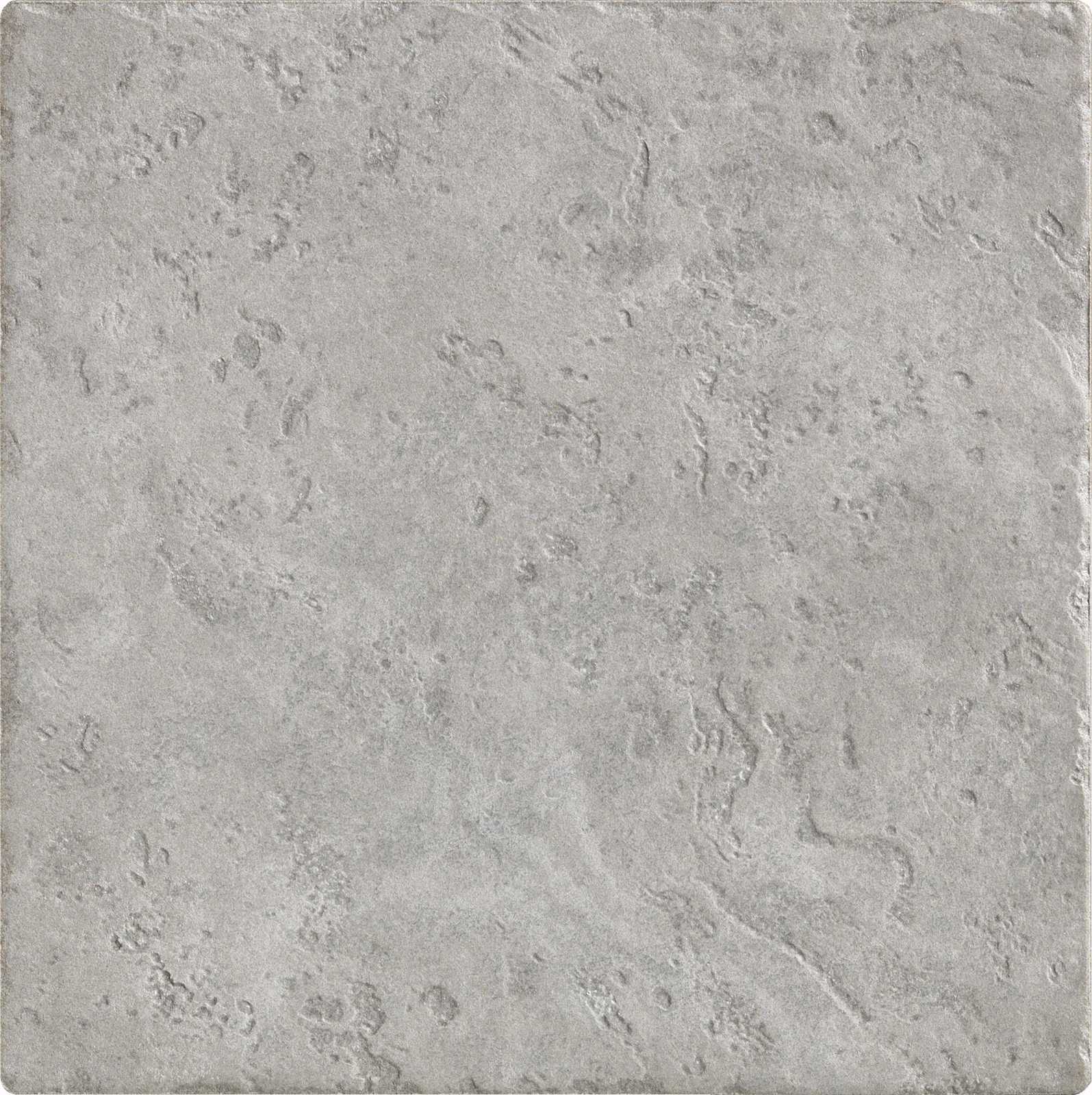 ragno emilia rl14.jpg