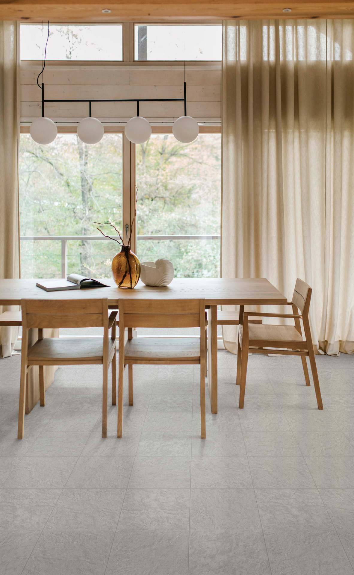 ragno emilia 001.jpg