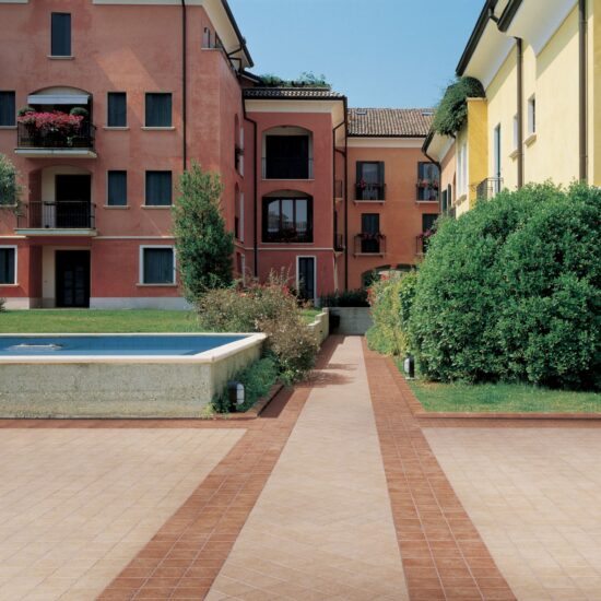 ragno emilia 002.jpg