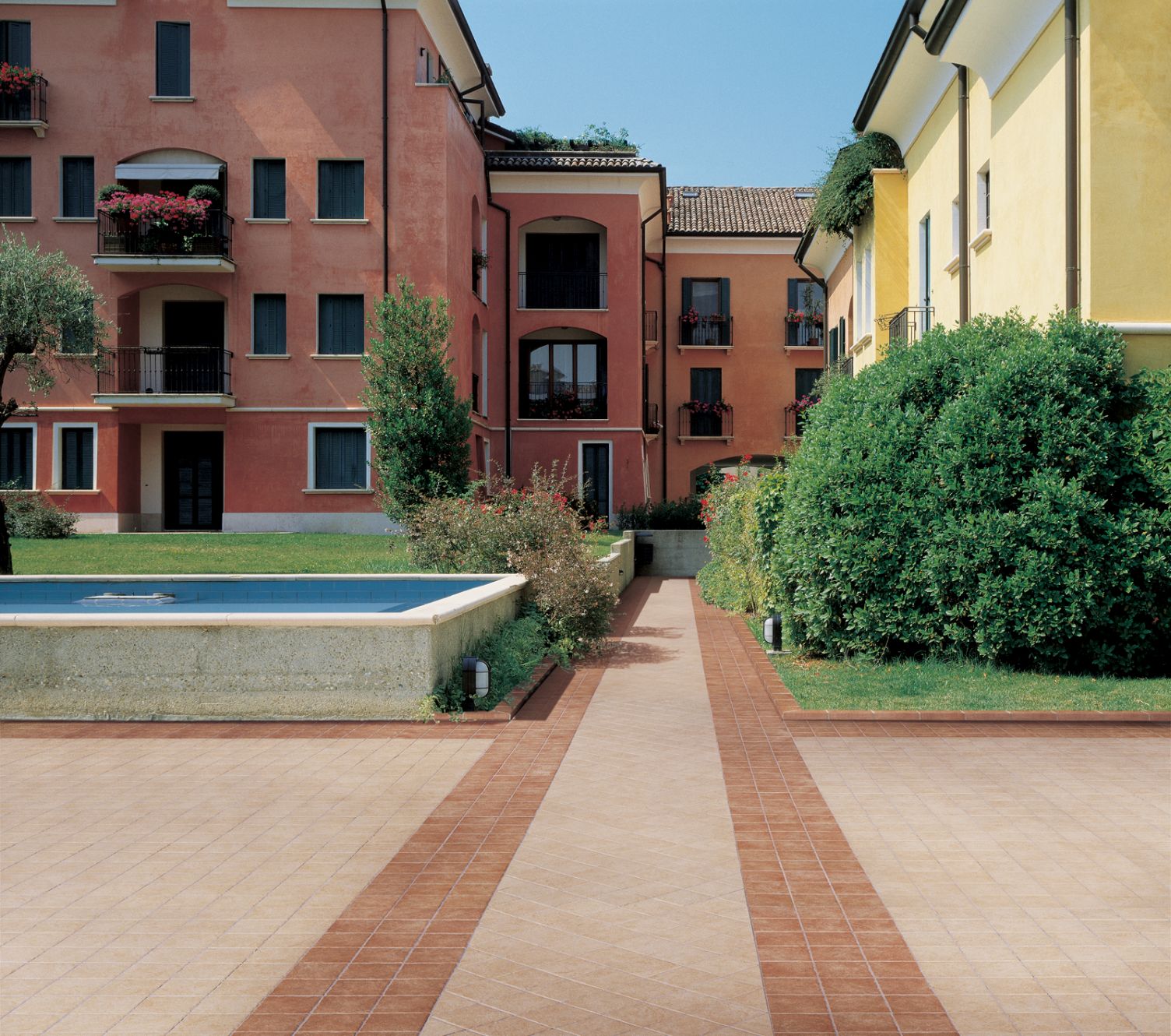 ragno emilia 002.jpg