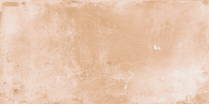 ragno epoca r551.jpg