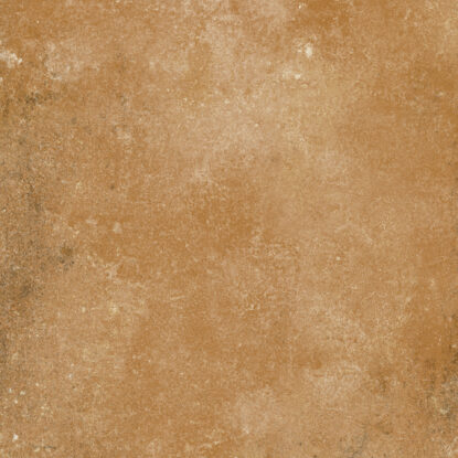 ragno epoca r558.jpg