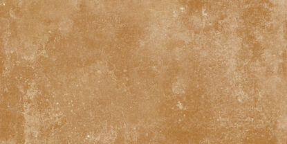 ragno epoca r55e.jpg